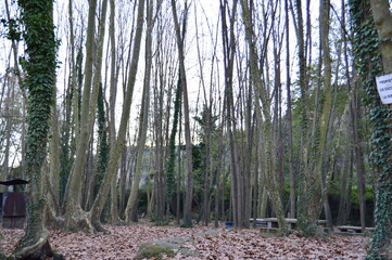 Paisaje de naturaleza en la montaña.