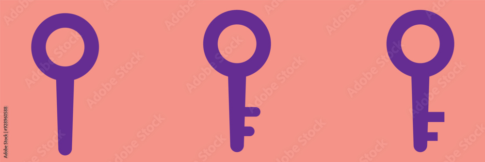 Canvas Prints key icon set. key vector icon. key symbol