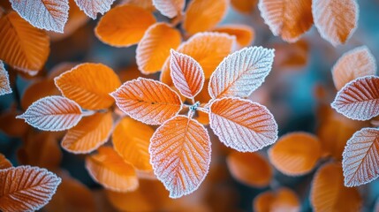 Beautiful frosted orange leaves in late autumn or early winter, showcasing vibrant seasonal colors, natural texture, and a serene cold morning atmosphere. AI generated illustration.