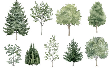 Fototapeta premium Watercolor Tree Illustrations Featuring a Variety of Green Foliage and Evergreen Trees
