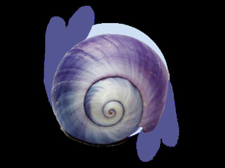 Blue and Purple Rounded Shapes