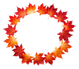 Obraz premium PNG Maple leaves circle border maple plant leaf.