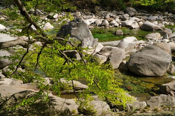 Mountain river in summer, Switzerland