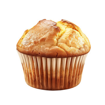 recommend clip art: Plain Muffin on Transparent Background