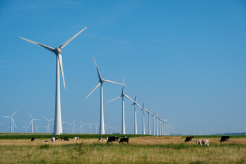 Serene Windmill Park With Grazing Cows Under Clear Blue Skies in the Netherlands