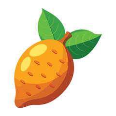 illustration of an fruit