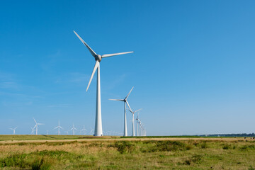 Fototapeta premium Breezy Day at a Serene Windmill Park in the Netherlands Under Clear Blue Skies