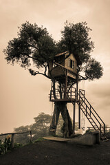 The End of the World swing up the mountains at La Casa del Árbol, Baños, Ecuador