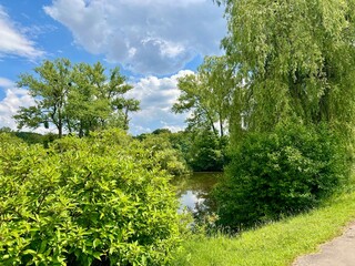 Summer landscape with river and green trees on a background of blue sky