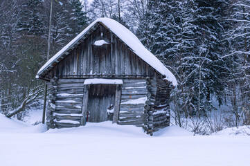 A small old log house in the middle of a snowy winter field. There are snow-covered trees behind...
