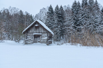 A small old log house in the middle of a snowy winter field. There are snow-covered trees behind the old house. There are snowdrifts in front of the old village house.