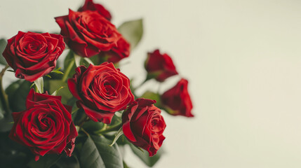 Bouquet of Red Roses Side View on White Background.