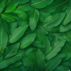 Fototapeta premium A lush green forest with many trees and plants
