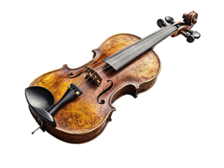 a close up of a violin