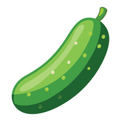 green fresh cucumber  isolated on white background