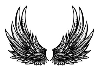 Hand drawn pair angel wings, vector illustration isolated on white