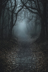 A dark and moody forest pathway is shrouded in an eerie mist, creating an atmosphere of mystery and intrigue