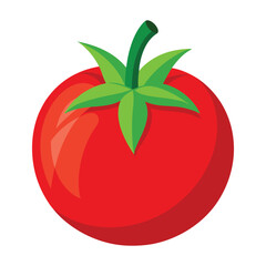 tomato illustration