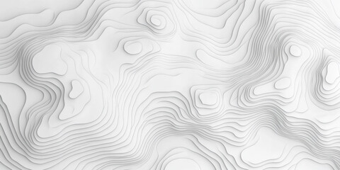 White Minimalist Abstract Topographic Contour Lines on Abstract Background
