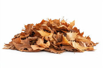 Pile Of Autumn Leaves Isolated