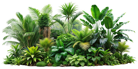 Outdoor Rainforest Graphic - Isolated Vegetation with Clipping Path, Isolated On Transparent Background, Png Cut Out © PNG House