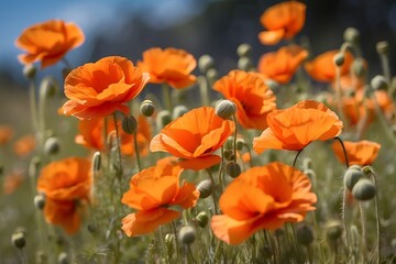 Obraz premium plants and flowers