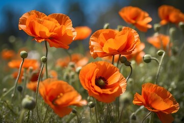 Naklejka premium plants and flowers