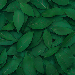 Naklejka premium A lush green forest with many trees and plants
