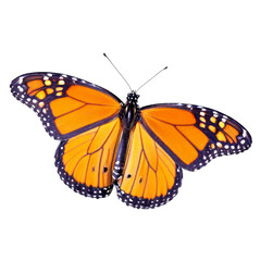Obraz premium A large orange butterfly with black spots on its wings isolated on transparent background.