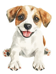 Cute white and brown puppy with big brown eyes and tongue out sitting on white background.