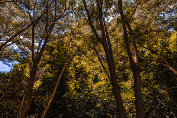 Wallpaper from the top of the mountain, overlooking the panorama, with the wind blowing all the time, fresh air, is a viewpoint that adventurers regularly visit.