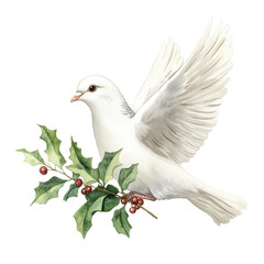 Obraz premium A graceful white dove perched on holly, symbolizing peace and hope, beautifully illustrated for festive themes.