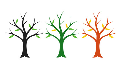 Obraz premium Seasons of Tree - Transparent Background PNG
