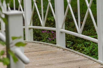 fence in the garden