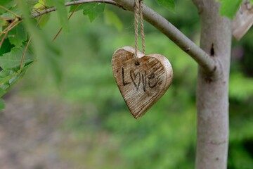 heart on a tree