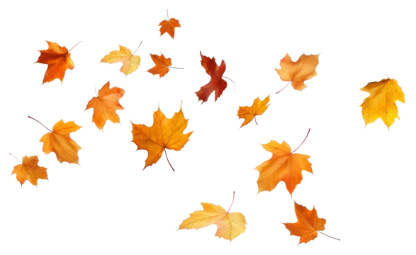 PNG Autumn leaves falling white background