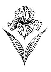 Flowers SVG, Lily SVG, Peony SVG, Daisy SVG, Cherry Blossom SVG, Poppy SVG, Gladiolus SVG, Blossom SVG, Plant SVG, Flowers Design, Flowers Silhouette, Cut file for Cricut SVG, JPG, PNG