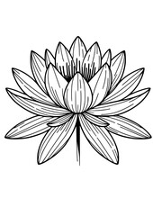 Flowers SVG, Lily SVG, Peony SVG, Daisy SVG, Cherry Blossom SVG, Poppy SVG, Gladiolus SVG, Blossom SVG, Plant SVG, Flowers Design, Flowers Silhouette, Cut file for Cricut SVG, JPG, PNG