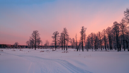 Winter or spring sunny morning in the forest and field.