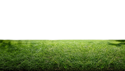 Vibrant green grass field texture isolated on white, perfect for nature, lawn, or sports background on transparency background