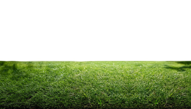 Vibrant green grass field texture isolated on white, perfect for nature, lawn, or sports background on transparency background - Powered by Adobe