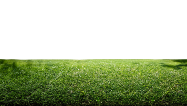 Vibrant green grass field texture isolated on white, perfect for nature, lawn, or sports background on transparency background