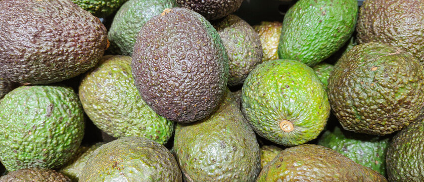 The close-up photo features a ripe avocado, its smooth, dark green skin contrasting with the creamy, vibrant interior. The fruit's rich texture and color highlight its abundance of vitamins and nutrie