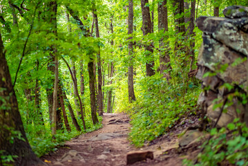 Hiking trail