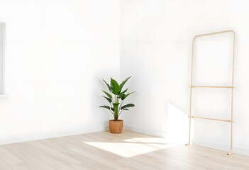 A potted palm plant in a minimalist interior setting with a plain white wall and wooden floor