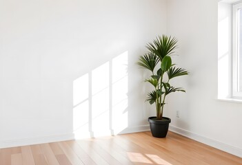 A potted palm plant in a minimalist interior setting with a plain white wall and wooden floor