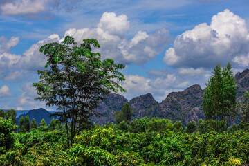 Obraz premium Natural background, high angle view from the observation point, blurred golden rays of the sun visible. The mountains that were setting on the horizon, changed beautifully with the wind.