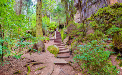 Ancient Lattengrund Canyon and hiking trail, old spruce forest at Sandstone rocks Schrammstein...