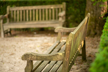 Two Wooden Benches in a Peaceful, Sunlit Park, Perfect for Rest and Reflection