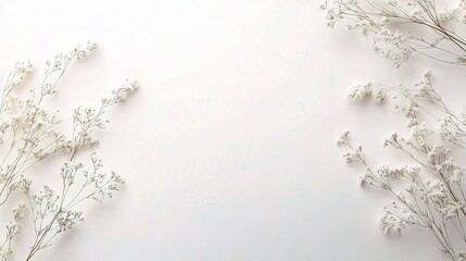 Naklejka premium Delicate Whispers: A minimalist flat lay featuring delicate white baby's breath flowers framing a pristine white backdrop, offering a serene space for text or design. 